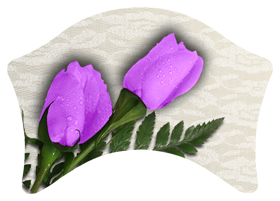 DABAN-052 2 Roses Lavender